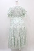 画像2: Hudson honey / しぃぺろ/小花柄ワンピース M ミント H-25-11-10-019-0-OP-NS-ZH (2)