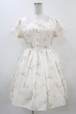 画像1: Ank Rouge / Vintage Tulipワンピース M アイボリー H-25-11-10-023-CA-OP-NS-ZH (1)