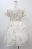 画像2: Ank Rouge / Vintage Tulipワンピース M アイボリー H-25-11-10-023-CA-OP-NS-ZH (2)