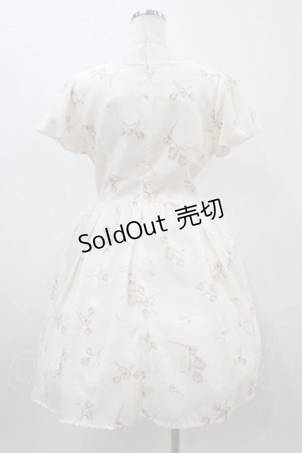 画像2: Ank Rouge / Vintage Tulipワンピース M アイボリー H-25-11-10-023-CA-OP-NS-ZH (2)