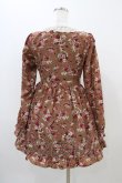 画像2: DearMyLove / 花柄ワンピース M ブラウン H-25-11-10-027-EL-OP-NS-ZH (2)