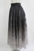 画像2: axes femme / グラデレースサーキュラースカート Free ブラック H-25-11-11-036-AX-SK-NS-ZH (2)