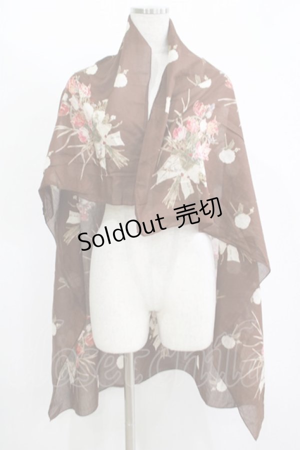 画像1: KANEKO ISAO / スカーフ  ブラウン H-25-11-11-060-EL-ZA-NS-ZH (1)