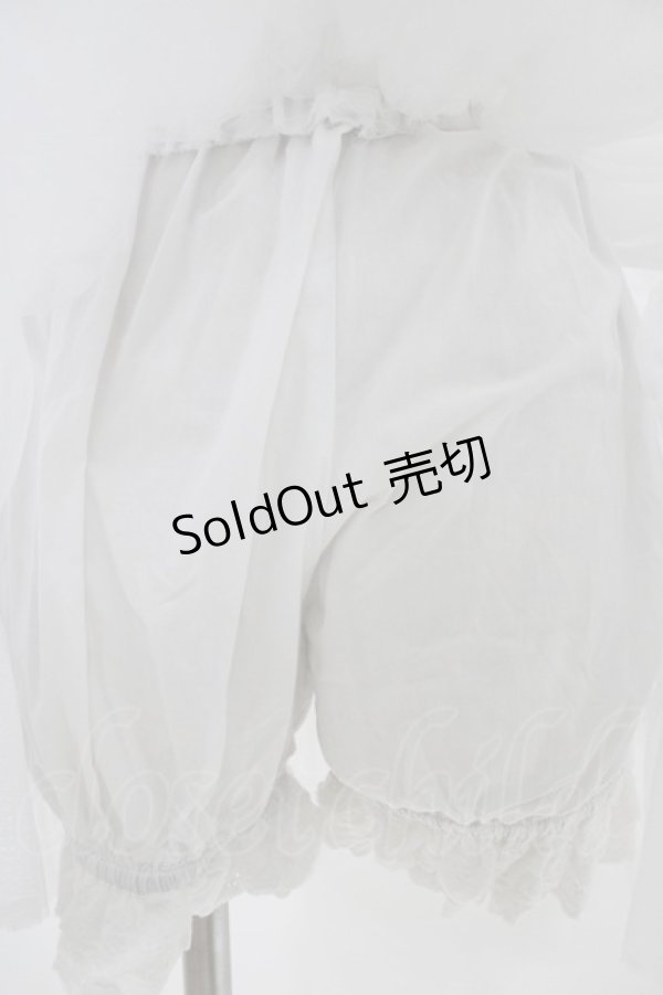 画像3: AND ROMEO / ドロワーズ一体型パニエ P4 Free オフ H-25-11-12-1028-LO-SK-NS-ZH (3)