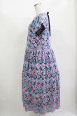 画像2: Jane Marple Dans Le Salon / Flower embroideryタブリエドレス  Sky blue×Pink H-25-11-12-014-JM-OP-KB-ZH (2)