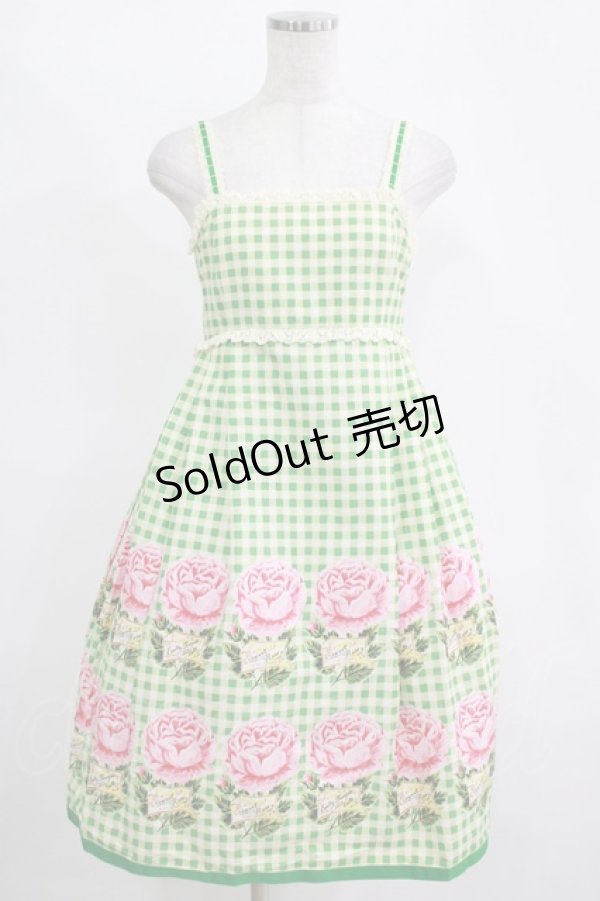 画像1: Emily Temple cute / ギンガム＆バラノースリーブワンピース  グリーン H-25-11-14-1003-ET-OP-KB-ZH (1)