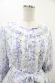 画像4: Angelic Pretty / Secret Daisy Gardenワンピース Free ラベンダー H-25-11-14-016-AP-OP-NS-ZH (4)