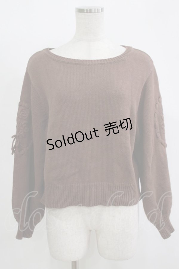 画像1: F&A / 袖ローズ刺繍ニットプルオーバー Free Brown H-25-11-15-1055-LO-TO-NS-ZH (1)