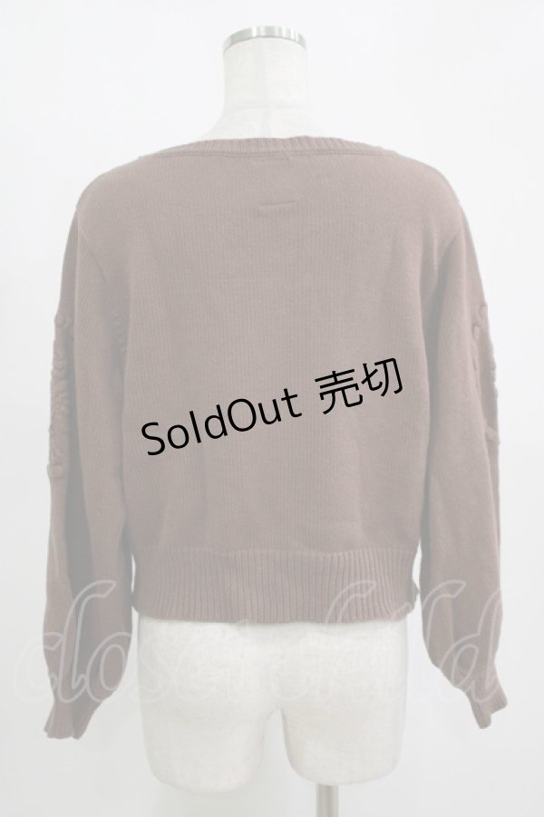 画像3: F&A / 袖ローズ刺繍ニットプルオーバー Free Brown H-25-11-15-1055-LO-TO-NS-ZH (3)