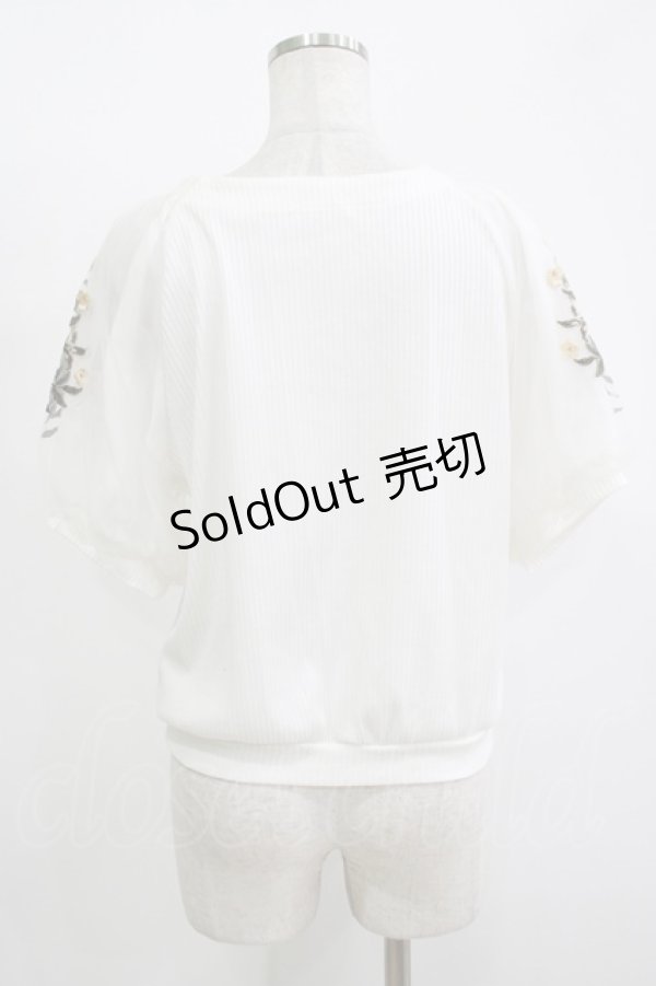 画像3: axes femme / 花刺繍×チュール袖プルオーバー M オフ H-25-11-15-1063-AX-TO-NS-ZH (3)