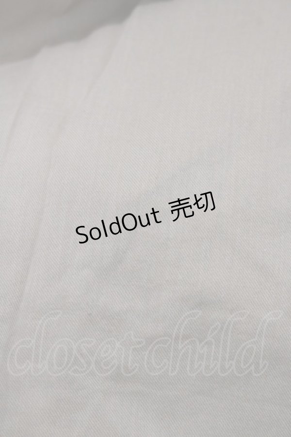 画像4: Maison de FLEUR Petite Robe / ヴィクトリアンドレス S beige H-25-11-15-1015-EL-OP-NS-ZH (4)