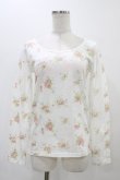 画像1: LIZ LISA / 花柄Tシャツ Free オフ H-25-11-16-1039-LO-TS-NS-ZH (1)