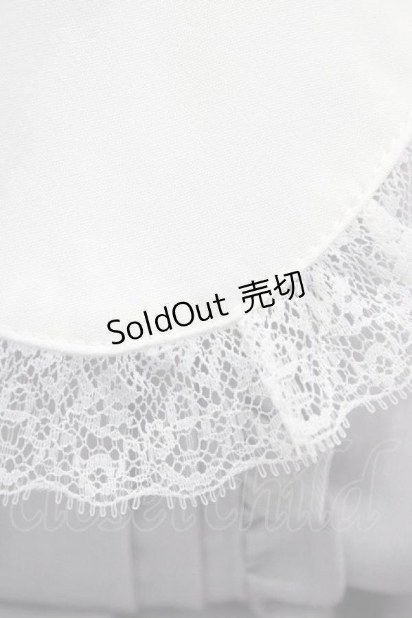 画像3: Ank Rouge / ローズレースワンピース Free グレー H-25-11-16-1013-CA-OP-NS-ZH (3)