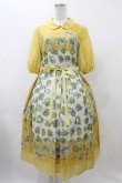 画像1: Jane Marple / Chromos bouquetのガーデンドレス  イエロー H-25-11-19-1013-JM-OP-KB-ZH (1)