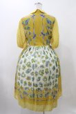 画像2: Jane Marple / Chromos bouquetのガーデンドレス  イエロー H-25-11-19-1013-JM-OP-KB-ZH (2)