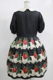 画像3: Leur Getter / Antique Lace Strawberry袖付きワンピース L ブラック H-25-11-21-1001-LU-OP-KB-ZT340 (3)