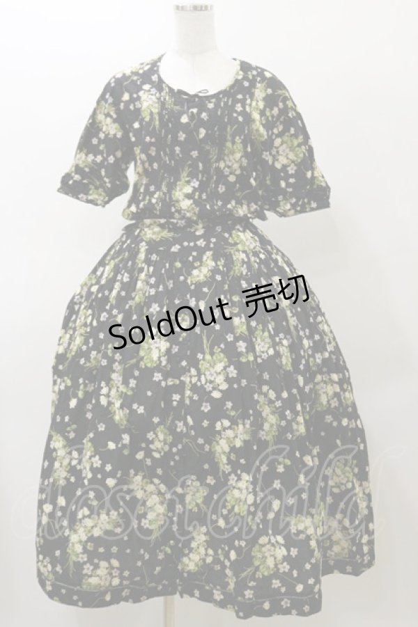 画像1: PINK HOUSE / すみれとブーケワンピース Free ブラック H-25-11-24-1069-LO-OP-NS-ZH (1)