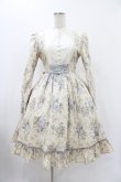 画像1: Victorian maiden / ローズグリーティングウェストレースアップドレス Free バニラ H-25-11-27-027-CL-OP-NS-ZH (1)