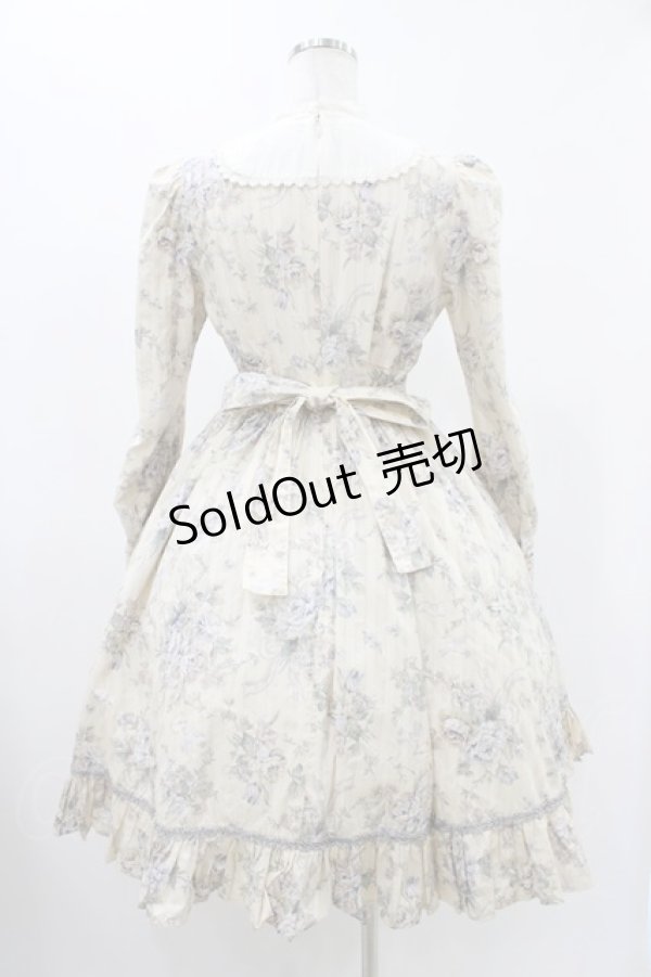 画像2: Victorian maiden / ローズグリーティングウェストレースアップドレス Free バニラ H-25-11-27-027-CL-OP-NS-ZH (2)