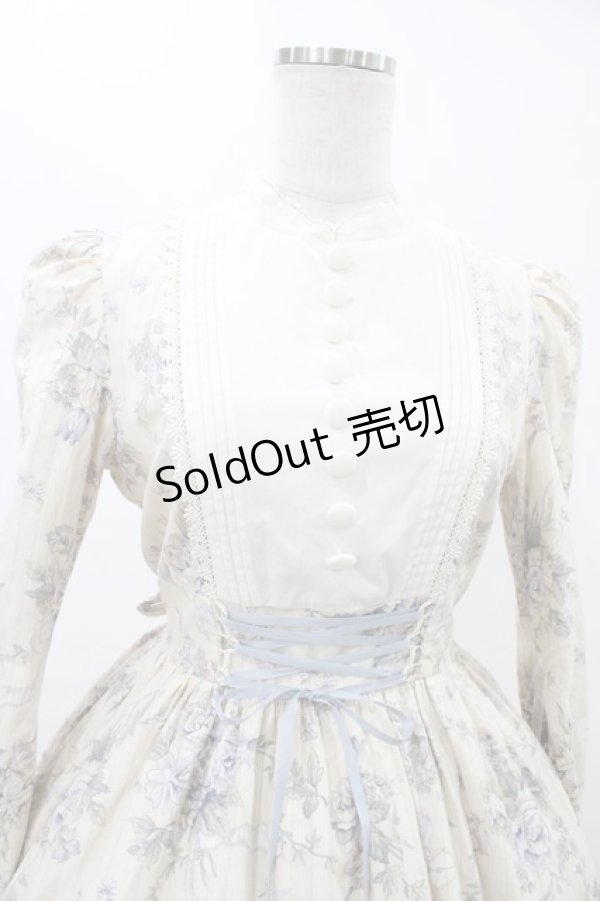 画像4: Victorian maiden / ローズグリーティングウェストレースアップドレス Free バニラ H-25-11-27-027-CL-OP-NS-ZH (4)