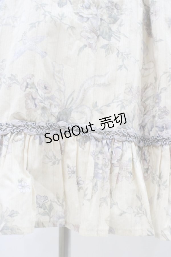 画像5: Victorian maiden / ローズグリーティングウェストレースアップドレス Free バニラ H-25-11-27-027-CL-OP-NS-ZH (5)