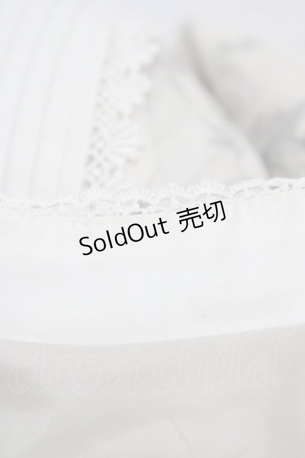 画像6: Victorian maiden / ローズグリーティングウェストレースアップドレス Free バニラ H-25-11-27-027-CL-OP-NS-ZH (6)