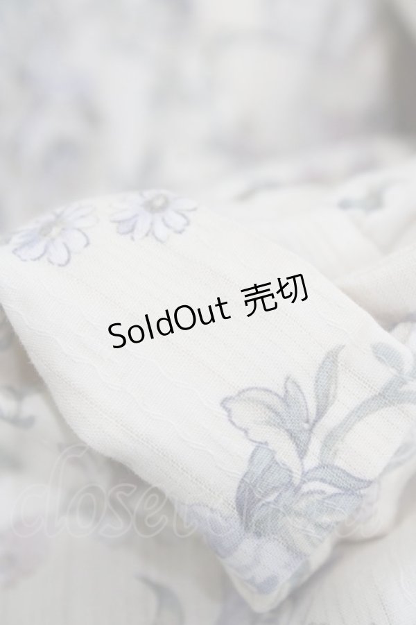 画像7: Victorian maiden / ローズグリーティングウェストレースアップドレス Free バニラ H-25-11-27-027-CL-OP-NS-ZH (7)