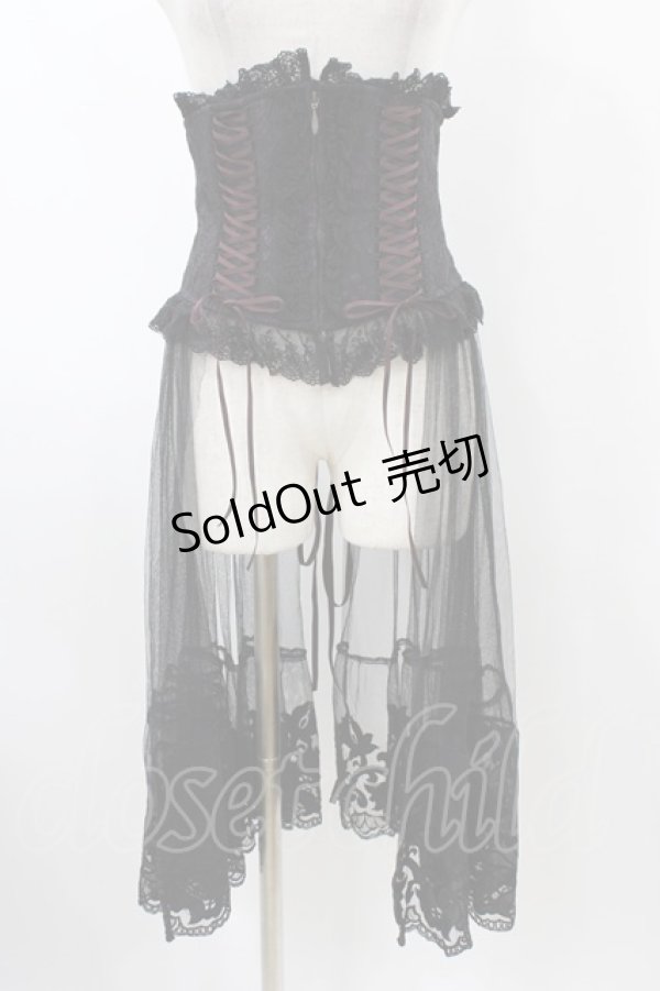 画像1: Sheglit / "Mariage"ヴェールコルセット  パープル H-25-12-02-1012-EL-ZA-KB-ZH (1)