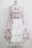 画像1: ATELIER PIERROT / Rosy Bouquet Dress サイズ2 オフ H-25-12-03-005-EL-OP-NS-ZH (1)