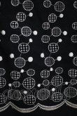 画像4: Jane Marple / ドット刺繍スカート  黒 H-25-12-03-045-JM-SK-KB-ZH (4)