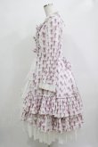 画像2: ATELIER PIERROT / Rosy Bouquet Dress サイズ2 オフ H-25-12-03-005-EL-OP-NS-ZH (2)