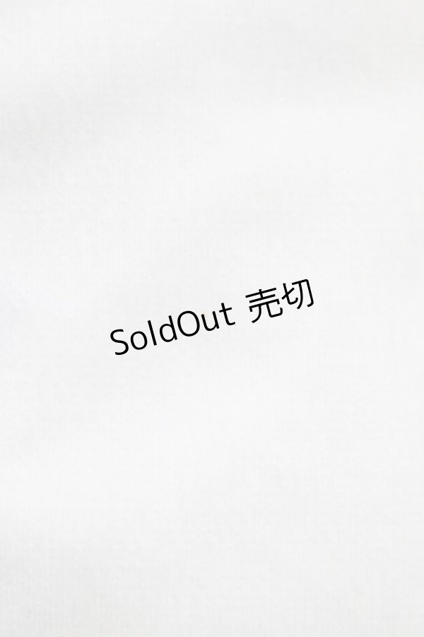 画像5: Angelic Pretty / リボンデコレーションスカート Free サックス H-25-12-05-1028-AP-SK-NS-ZH (5)