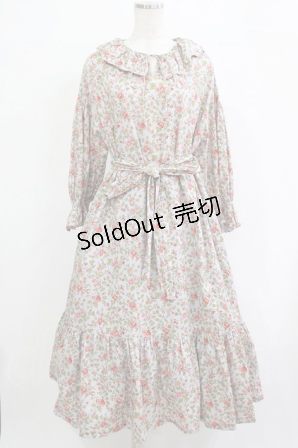 画像1: 【SALE】Jane Marple / Rambling roseフレアドレス  シルバーグレー H-25-12-07-006-JM-OP-KB-ZT451 (1)
