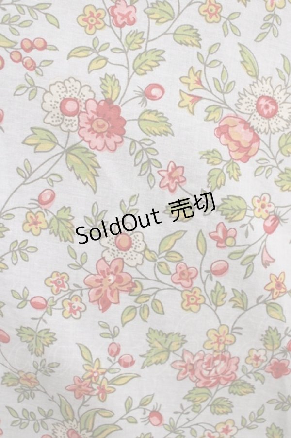 画像4: 【SALE】Jane Marple / Rambling roseフレアドレス  シルバーグレー H-25-12-07-006-JM-OP-KB-ZT451 (4)