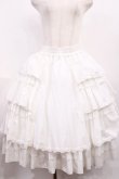 画像1: Hoshibako Works / アイシング・フリル パニエボリュームスカート FREE ホワイト H-25-12-08-1026-LO-SK-NS-ZH (1)