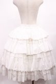 画像3: Hoshibako Works / アイシング・フリル パニエボリュームスカート FREE ホワイト H-25-12-08-1026-LO-SK-NS-ZH (3)