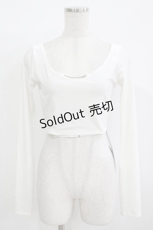 画像1: Melt the lady / ベロアトップス Free オフ H-25-12-09-046-PU-TO-NS-ZH (1)