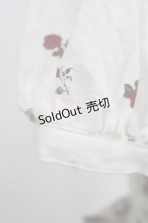 画像5: ALICE and the PIRATES / Vampire Prelude柄ワンピース Free アンティーク(生成） H-25-12-09-002-PA-OP-NS-ZH (5)