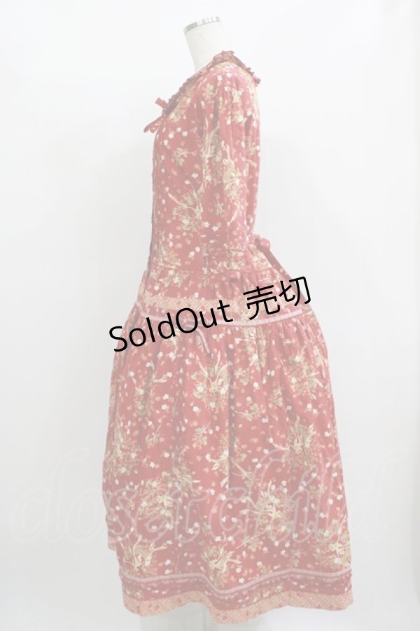 画像2: PINK HOUSE / いちご柄ワンピース Free レッド H-25-12-10-005-LO-OP-NS-ZH (2)