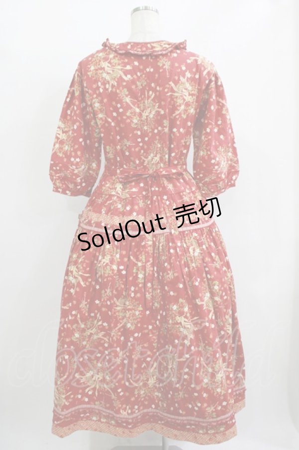 画像3: PINK HOUSE / いちご柄ワンピース Free レッド H-25-12-10-005-LO-OP-NS-ZH (3)