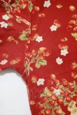 画像6: PINK HOUSE / いちご柄ワンピース Free レッド H-25-12-10-005-LO-OP-NS-ZH (6)