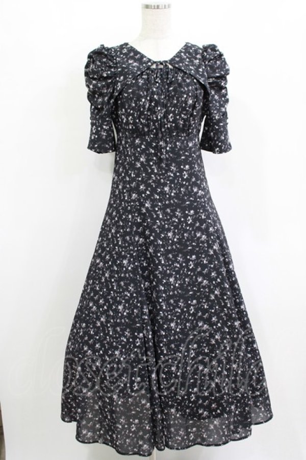 画像1: An MILLE / 花柄ロングワンピース Free ブラック H-25-12-10-017-EL-OP-NS-ZH (1)