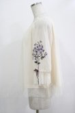 画像2: an another angelus / スミレ刺繍チュールブラウス Free OFF WHITE H-25-12-13-1042-CA-BL-NS-ZH (2)