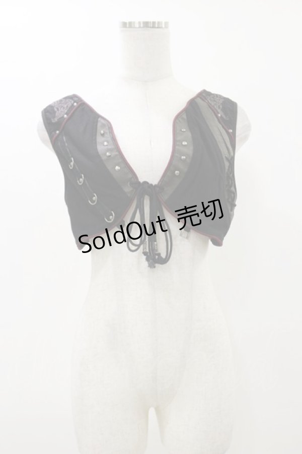 画像1: Rozen Kavalier / 刺繍ショートベスト  黒 H-25-12-17-045-OO-TO-KB-ZH (1)