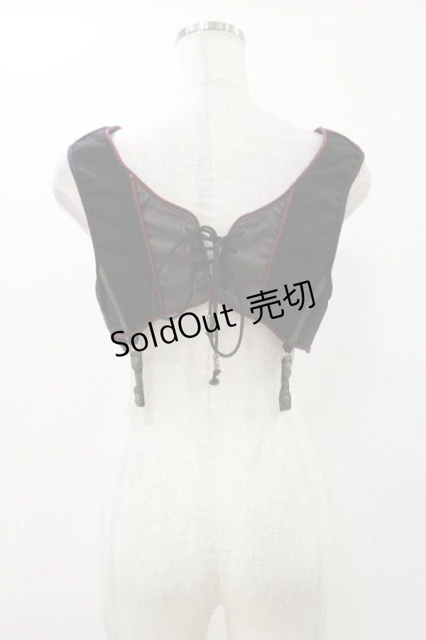 画像2: Rozen Kavalier / 刺繍ショートベスト  黒 H-25-12-17-045-OO-TO-KB-ZH (2)