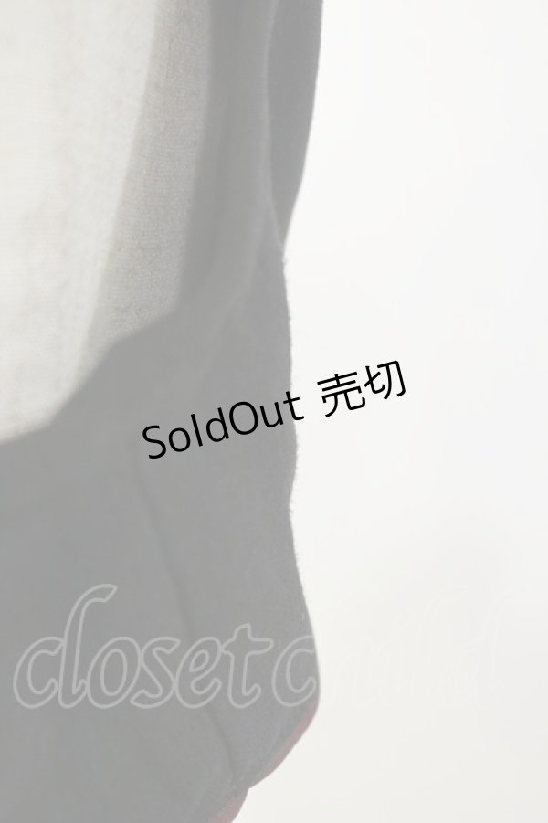 画像3: Rozen Kavalier / 刺繍ショートベスト  黒 H-25-12-17-045-OO-TO-KB-ZH (3)