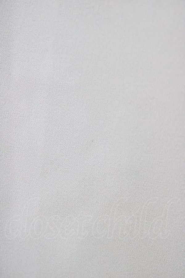 画像3: Fi.n.t / ステンドグラス風シアー衿ブラウス Free IVORY H-25-12-19-1052-CA-BL-NS-ZH (3)