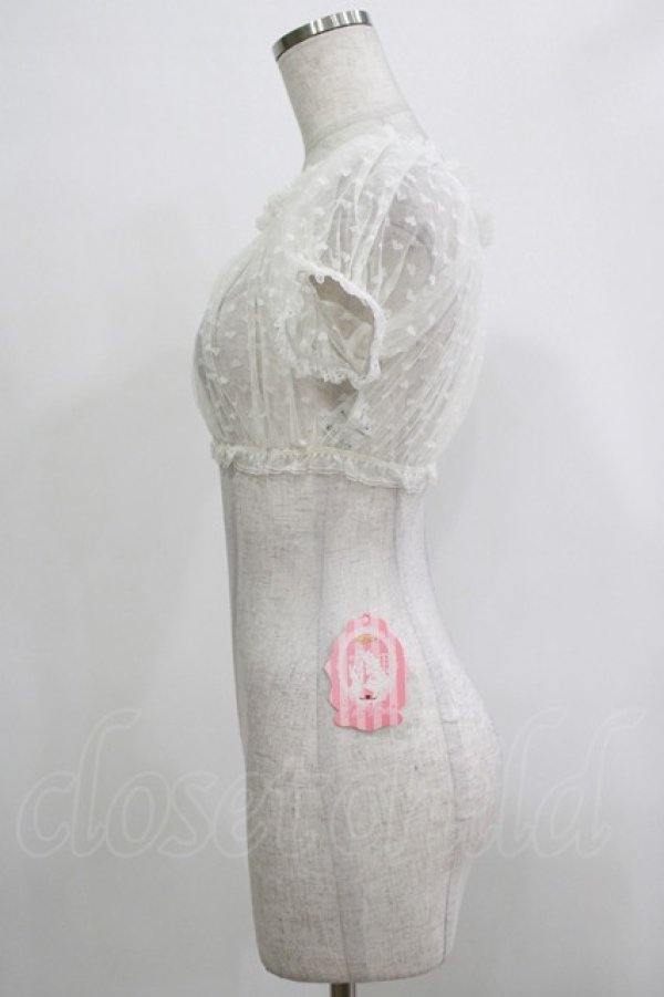 画像2: To Alice / ハートドットチュールトップス M オフ H-25-12-19-049-LO-TO-NS-ZH (2)