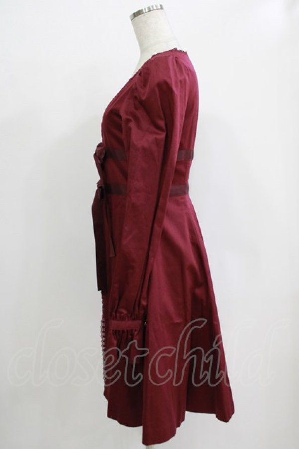 画像2: Victorian maiden / ロングスリーブオーバードレス Free シュールージュ H-25-12-20-031-CL-OP-NS-ZH (2)