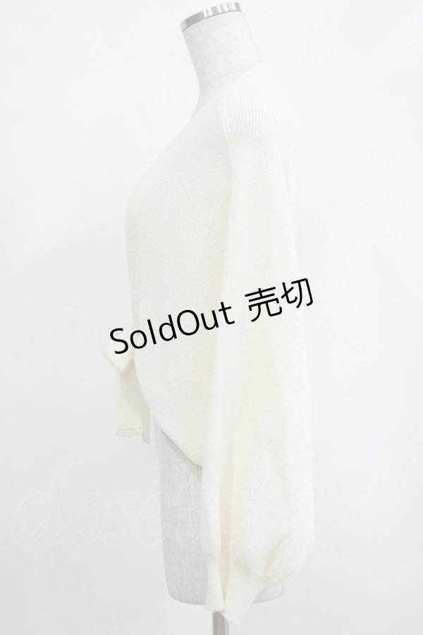 画像2: Maison de FLEUR Petite Robe canone / バックハグするボレロガーデ Free Ivory H-25-12-20-036-EL-TO-NS-ZH (2)